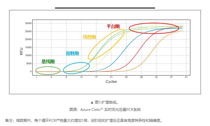 荧光定量PCR