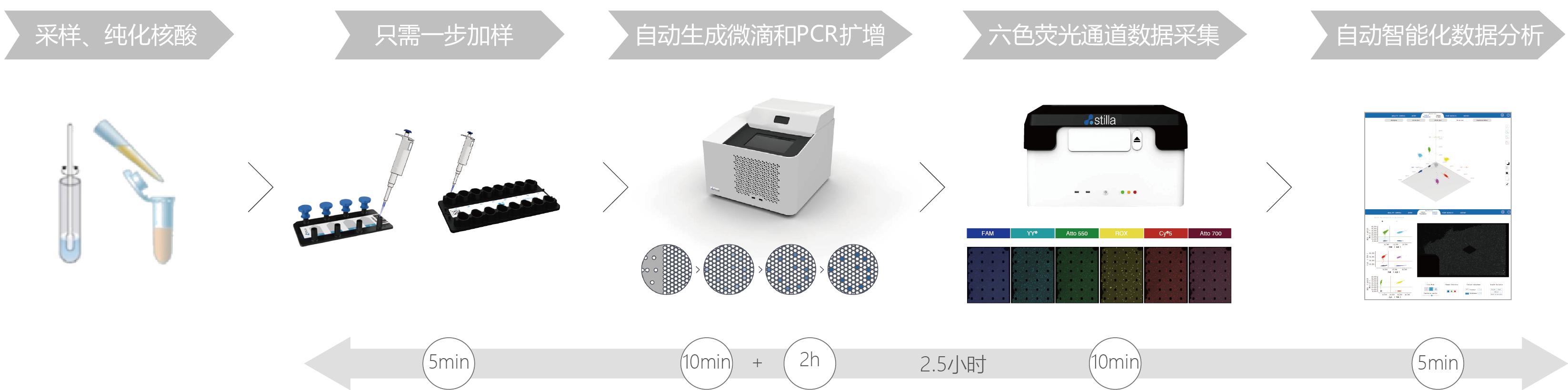 数字PCR