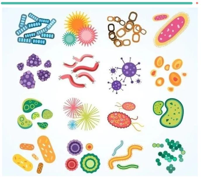 PCR,数字PCR,dPCR,qPCR