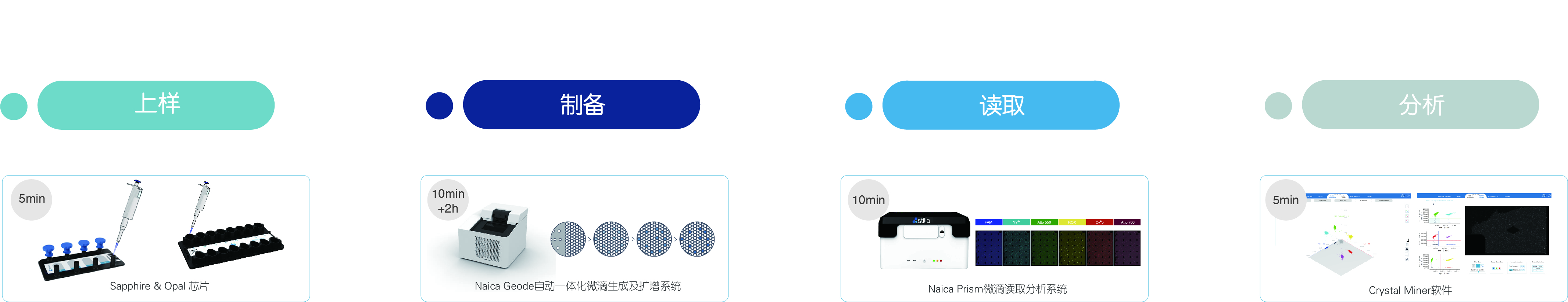 PCR,数字PCR,dPCR,qPCR