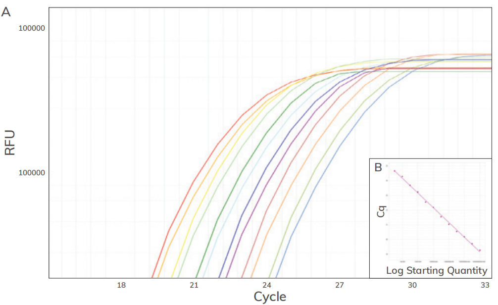 荧光定量PCR