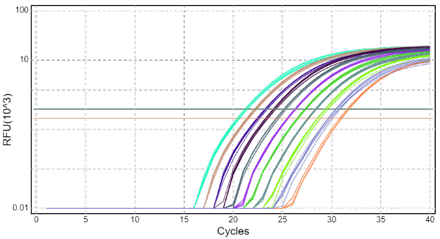 盘古定量PCR