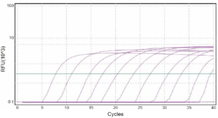 盘古定量PCR